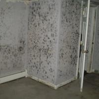 Water Mold Fire Restoration of Austin image 3